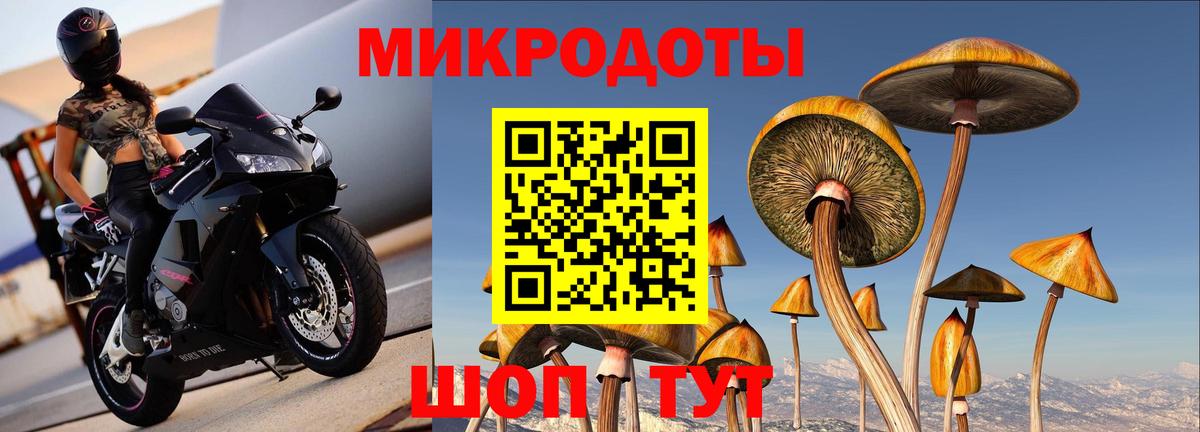 Псилоцибиновые грибы мухоморы Заволжье