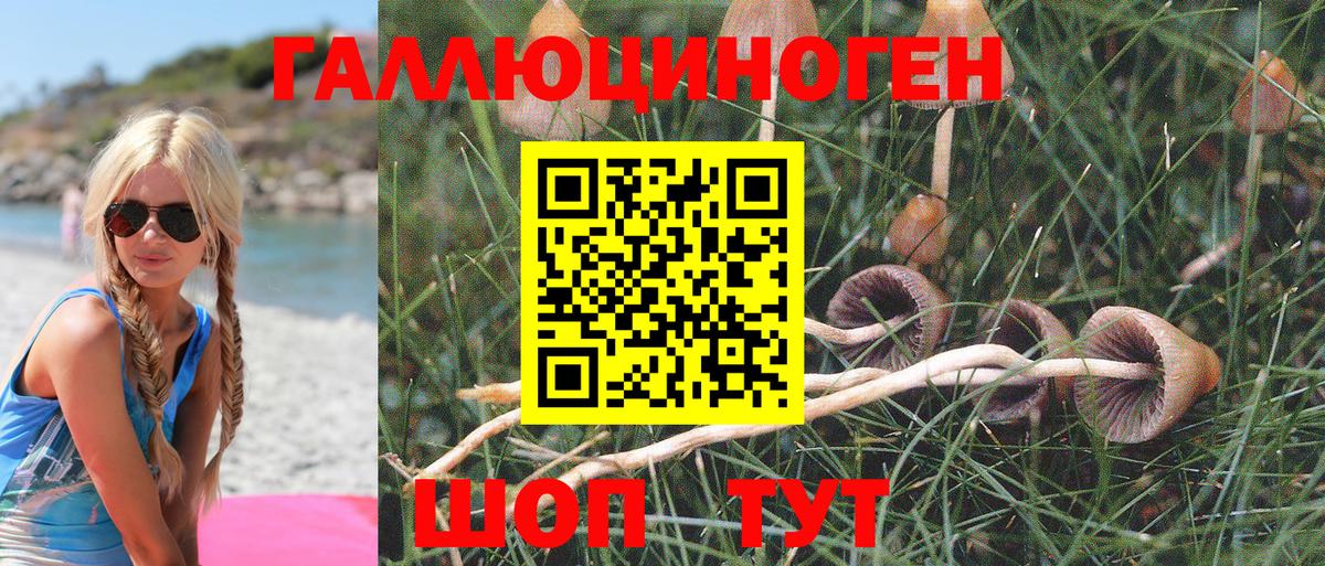Галлюциногенные грибы мухоморы  Галлюциногенные грибы Psilocybe  Вход с VPN  Заволжье 